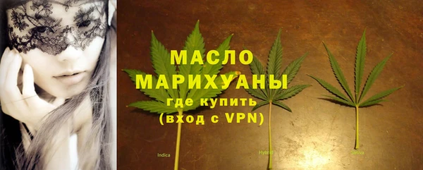 дмт Бородино