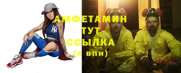 дмт Бородино