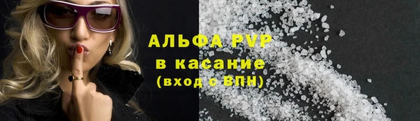 дмт Бородино