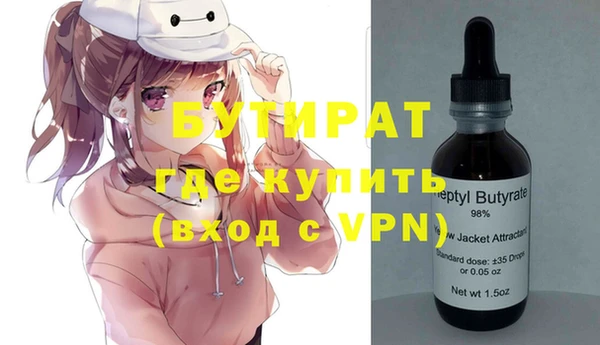 дмт Бородино