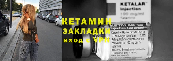дмт Бородино