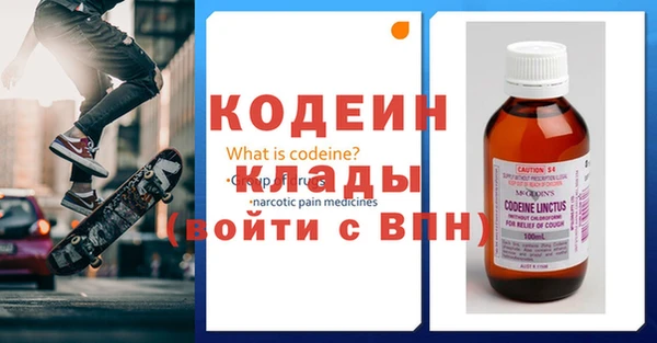 дмт Бородино