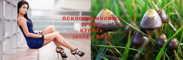 ешки Бугульма
