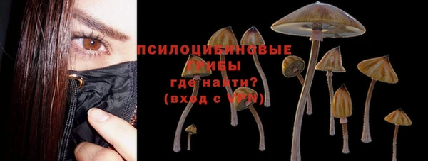 ешки Бугульма