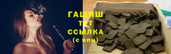дмт Бородино