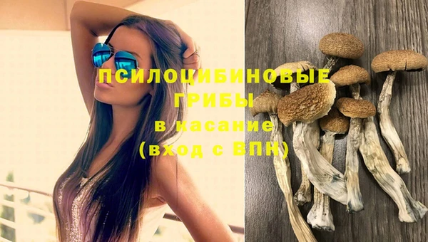 мескалин Бронницы