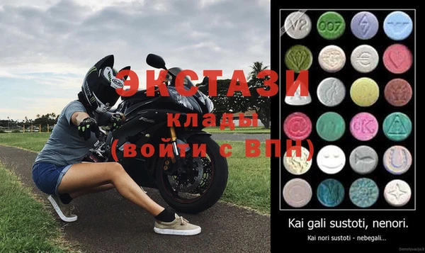 дмт Бородино