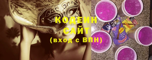 дмт Бородино