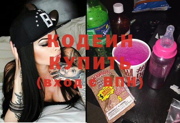дмт Бородино
