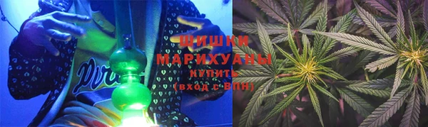дмт Бородино
