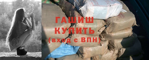 дмт Бородино