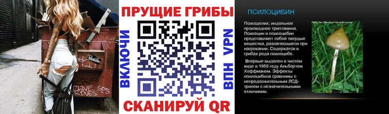 где продают   Комсомольск  Галлюциногенные грибы Cubensis 